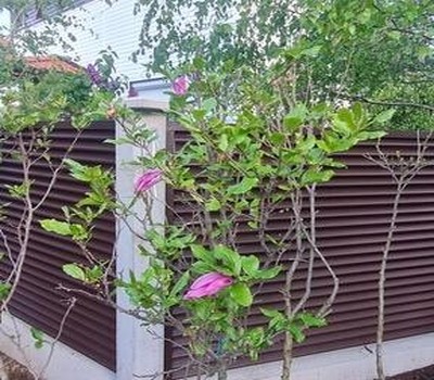 Оградни щори 37 | Ogradki Оградни щори 37