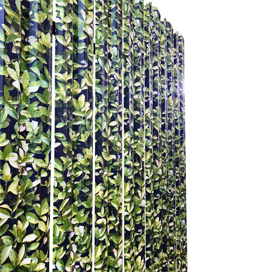 ednolicev_borovinka - Галерия 4