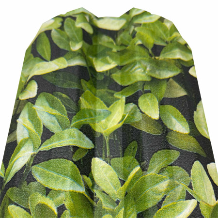 ednolicev_borovinka - Галерия 5