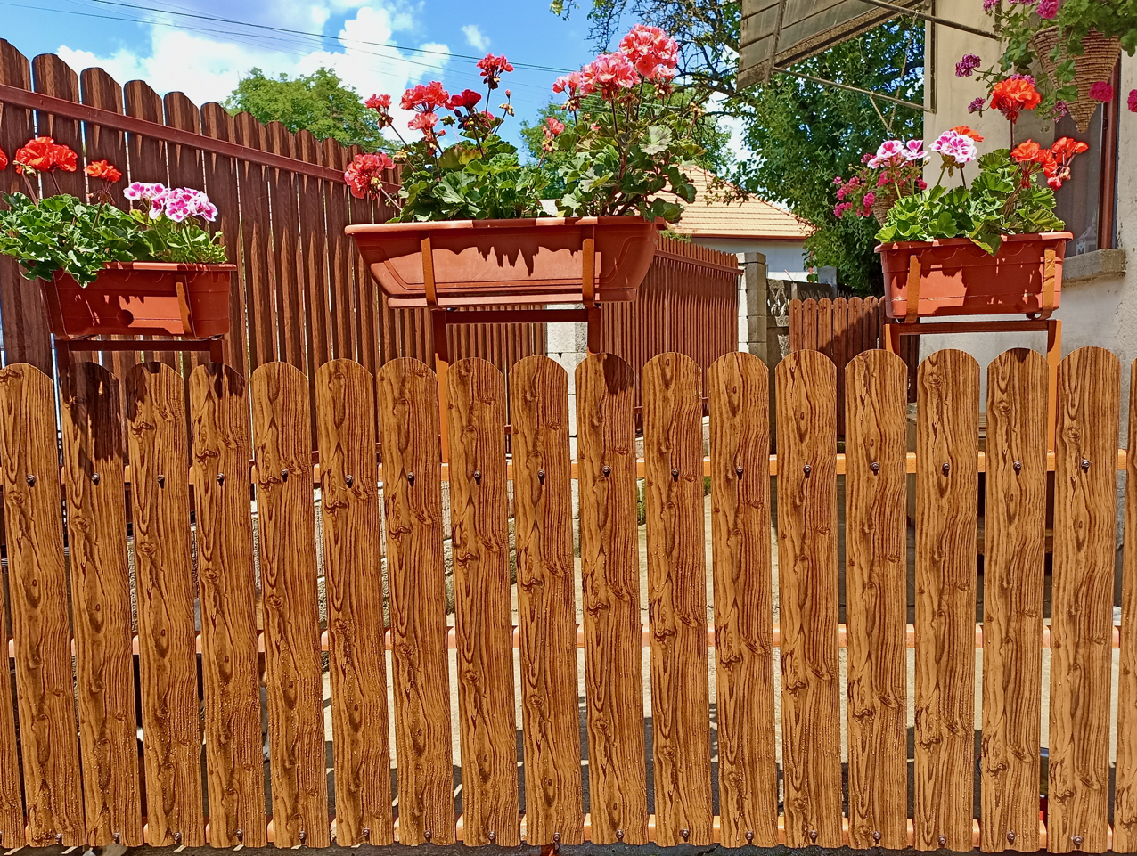 ednoliceva zlaten dyb - Галерия 5